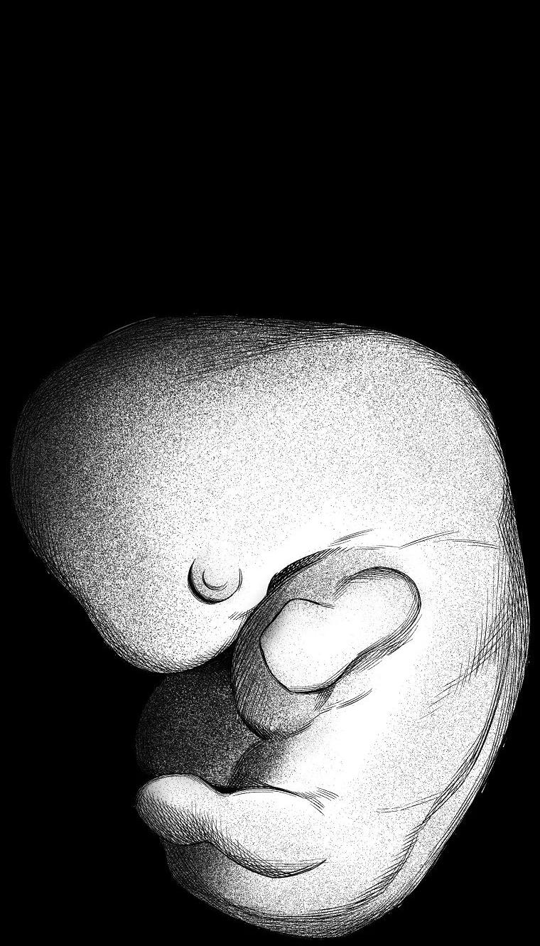 Манга Пуповина - Глава 26 Страница 55