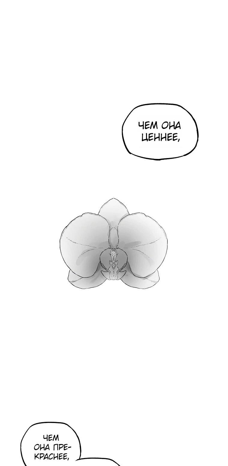 Манга Пуповина - Глава 30 Страница 29
