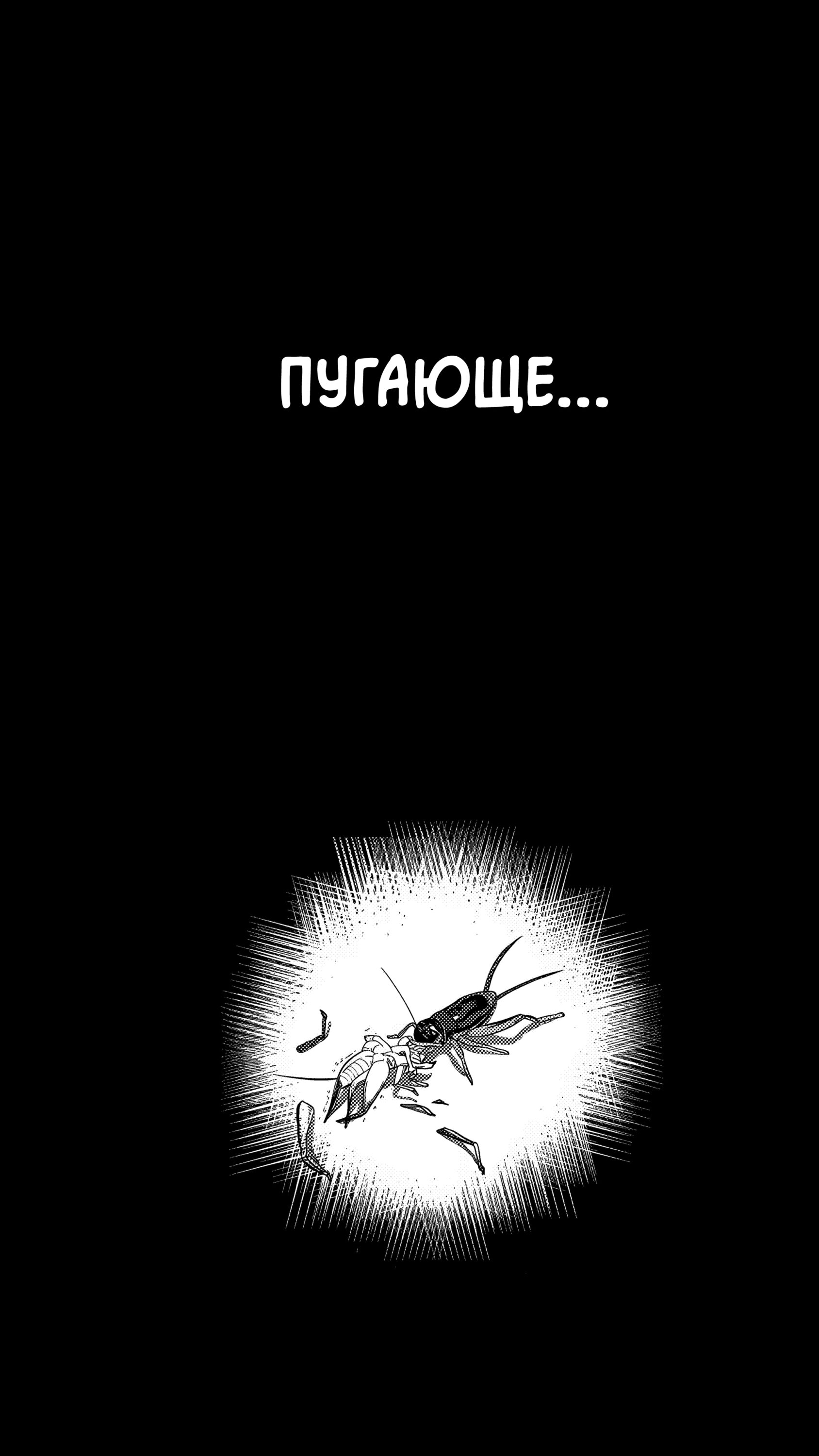 Манга Баскетболистка - Глава 213 Страница 13