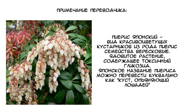 Манга Кентавры - Глава 4 Страница 27