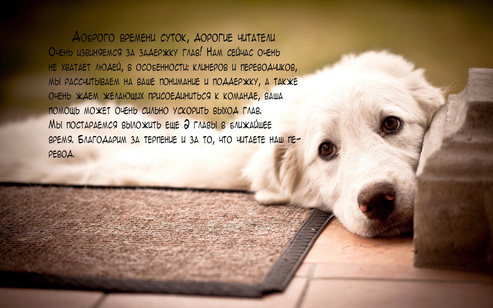 Манга Хранитель Вечности! - Глава 120 Страница 20