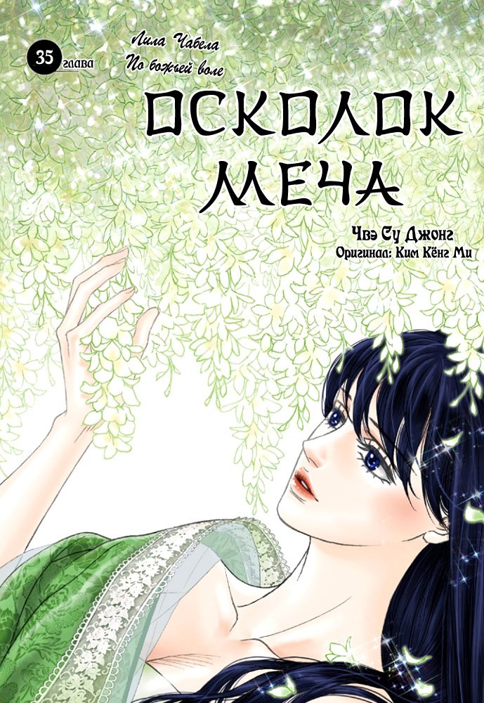 Манга Осколок меча - Глава 35 Страница 3