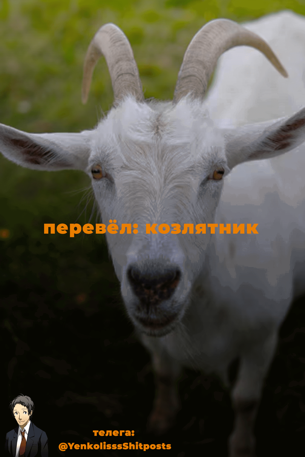 Манга Персона 5 - Глава 22.5 Страница 16
