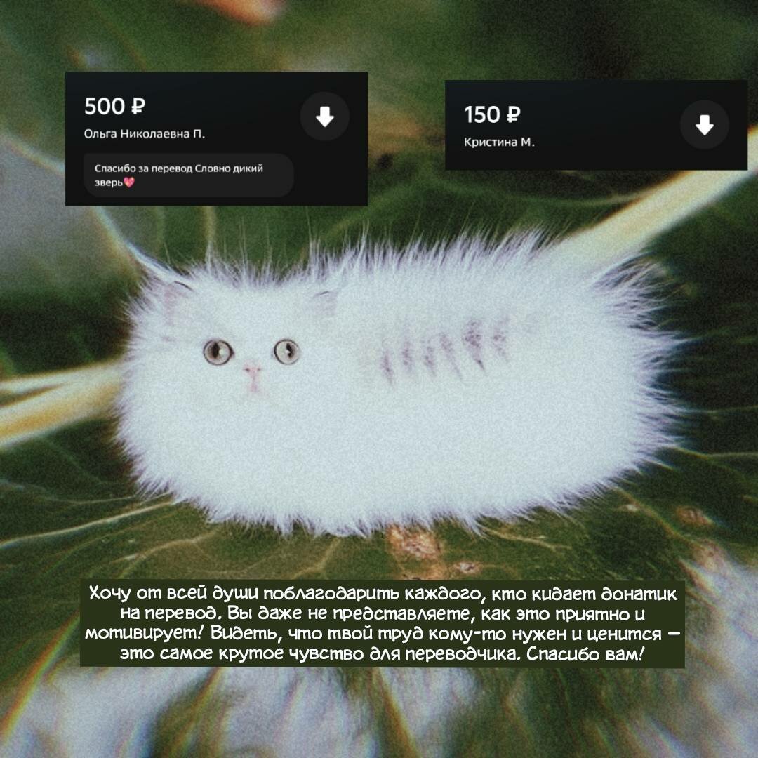 Манга Словно дикий зверь - Глава 3 Страница 2