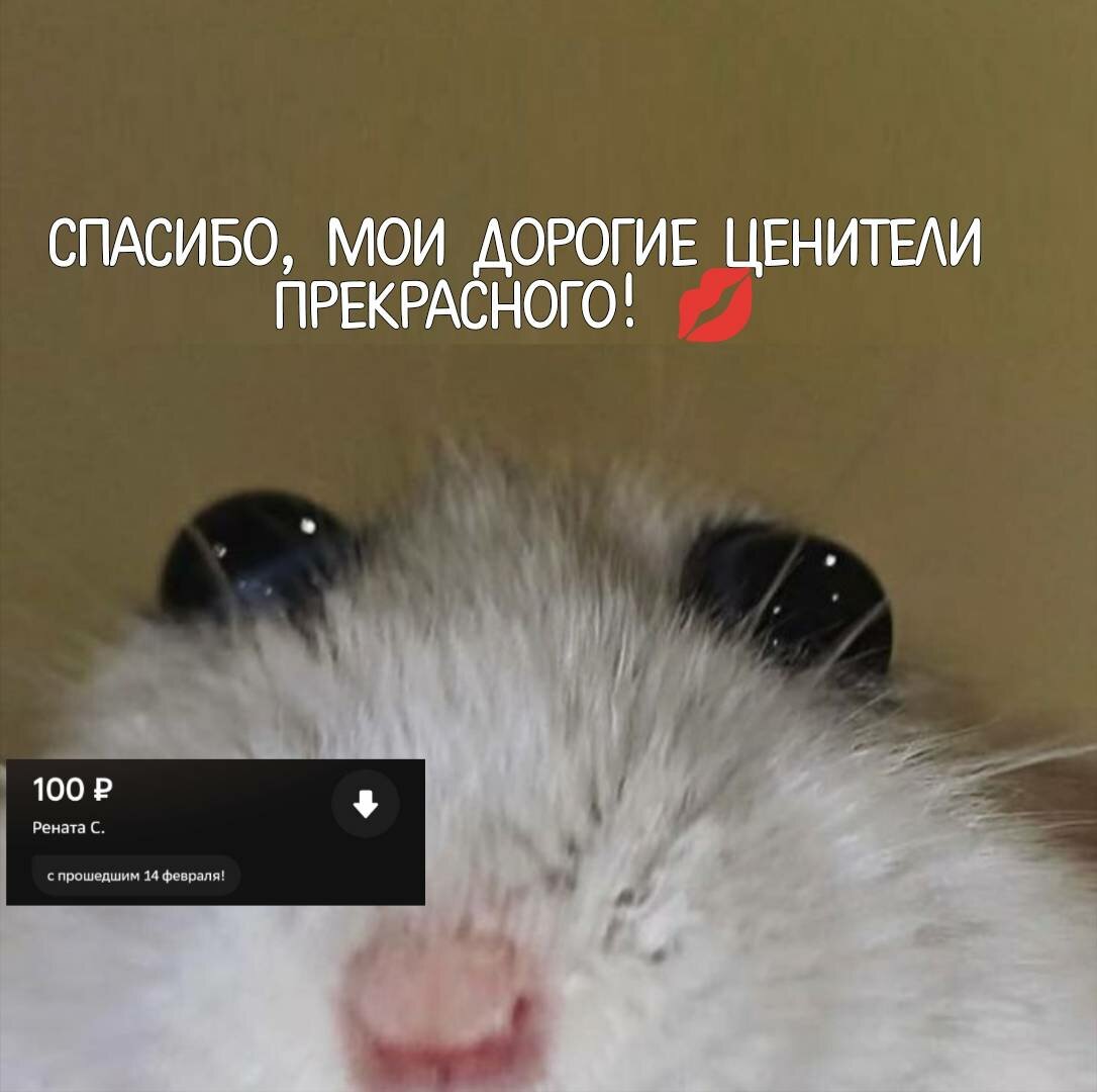 Манга Словно дикий зверь - Глава 3 Страница 2