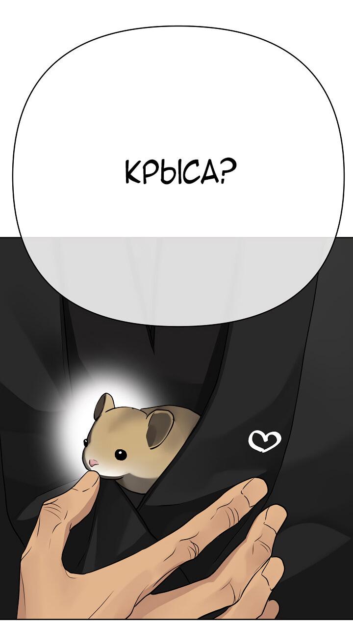 Манга Серый кардинал - Глава 31 Страница 39