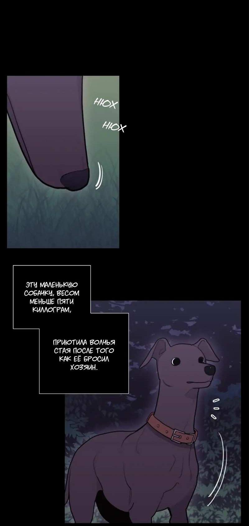 Манга Кровь Солнца - Глава 54 Страница 44