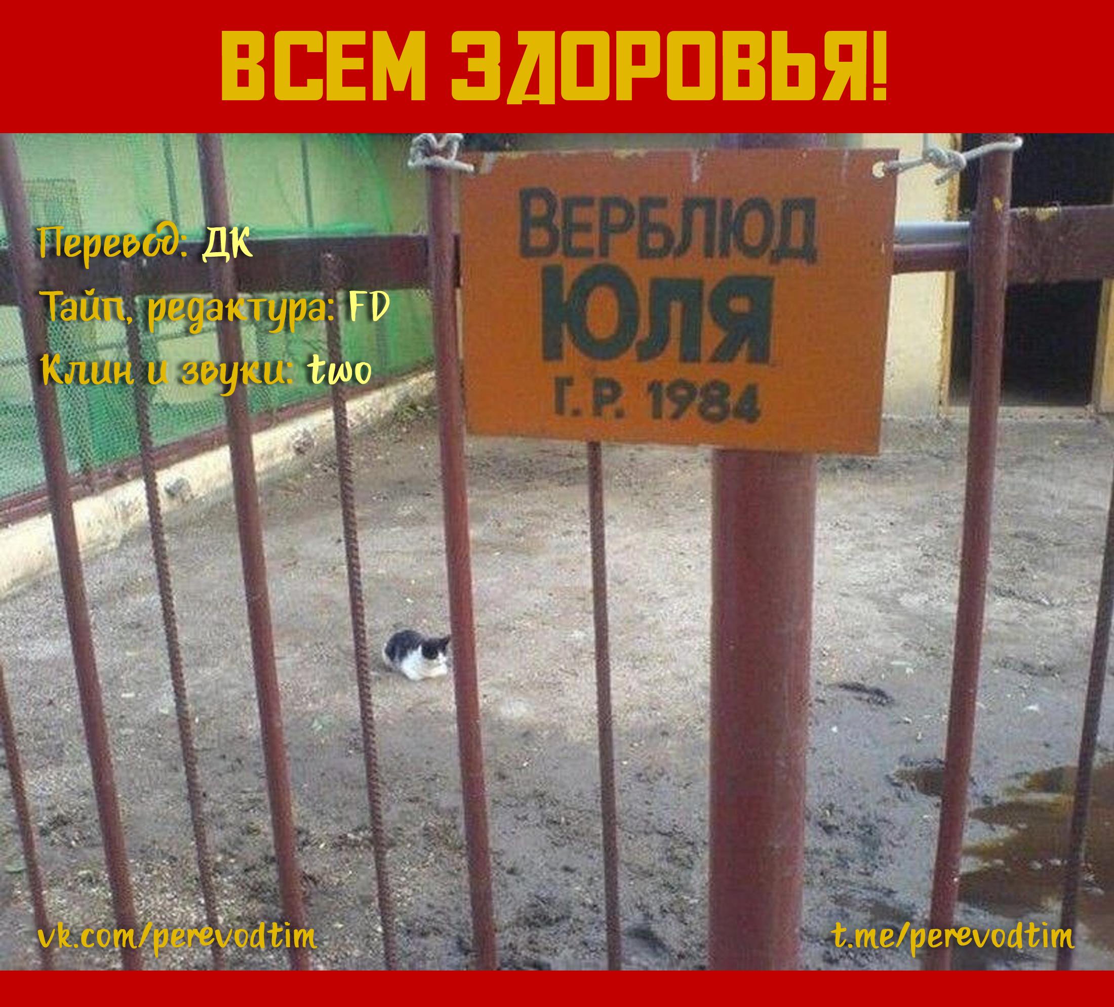 Манга Величайший из Бродячих псов. Шутка. - Глава 77 Страница 10