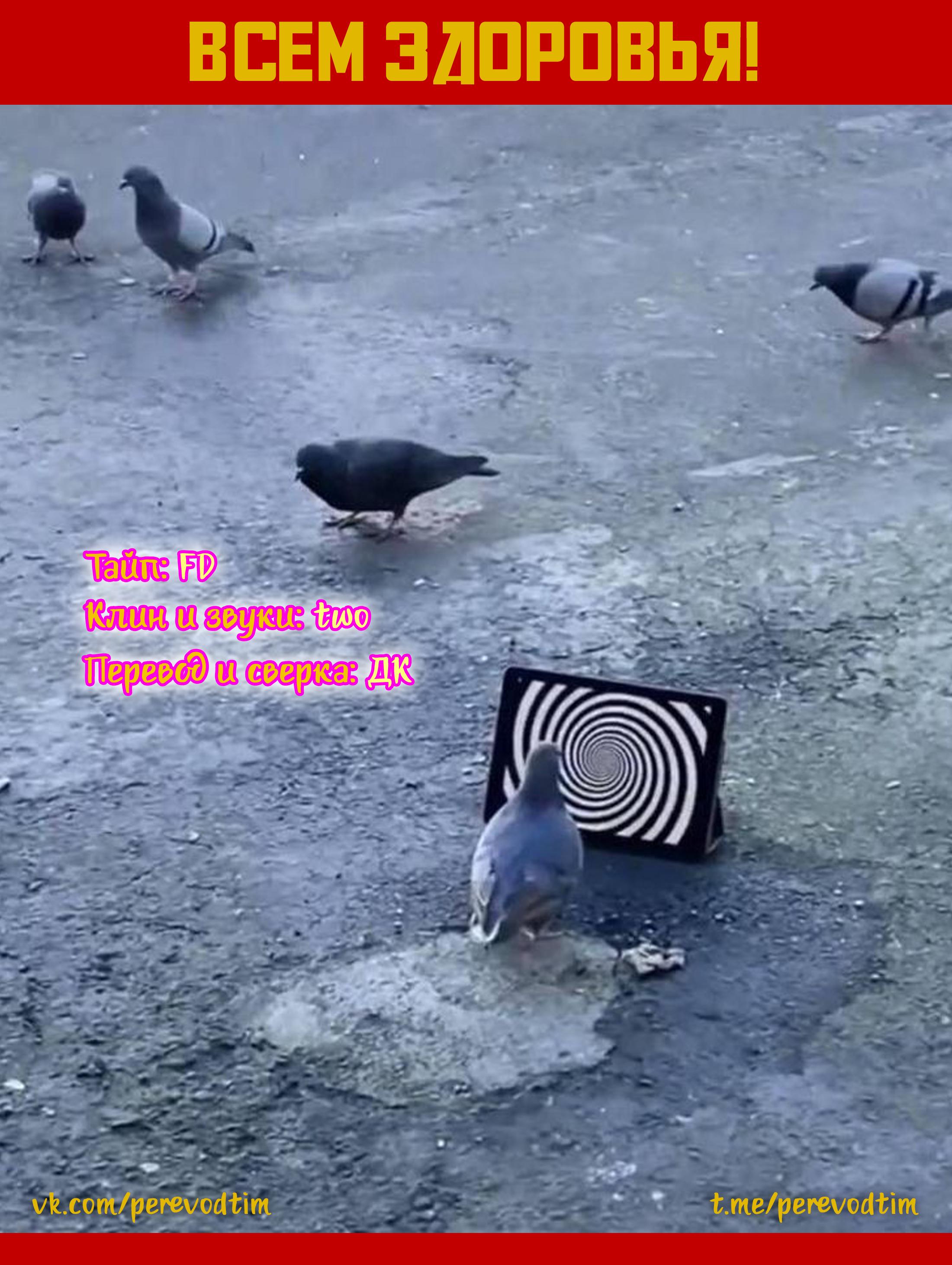 Манга Величайший из Бродячих псов. Шутка. - Глава 76 Страница 9