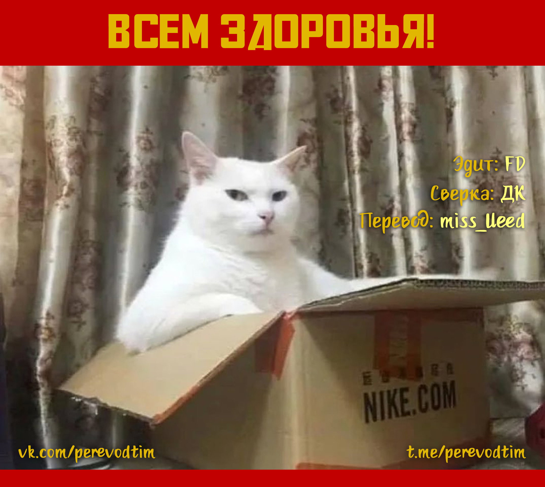 Манга Величайший из Бродячих псов. Шутка. - Глава 65 Страница 10