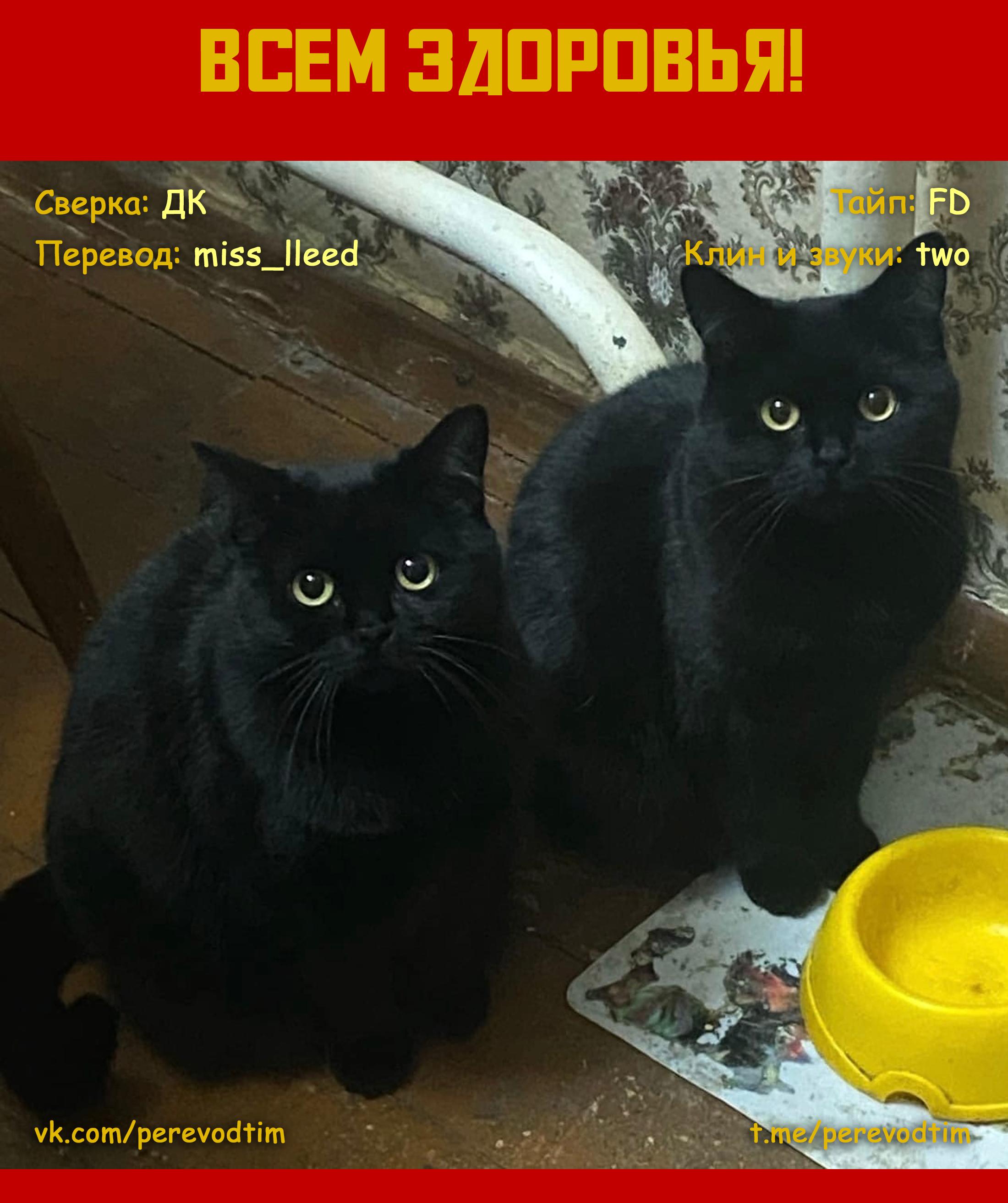 Манга Величайший из Бродячих псов. Шутка. - Глава 49 Страница 10