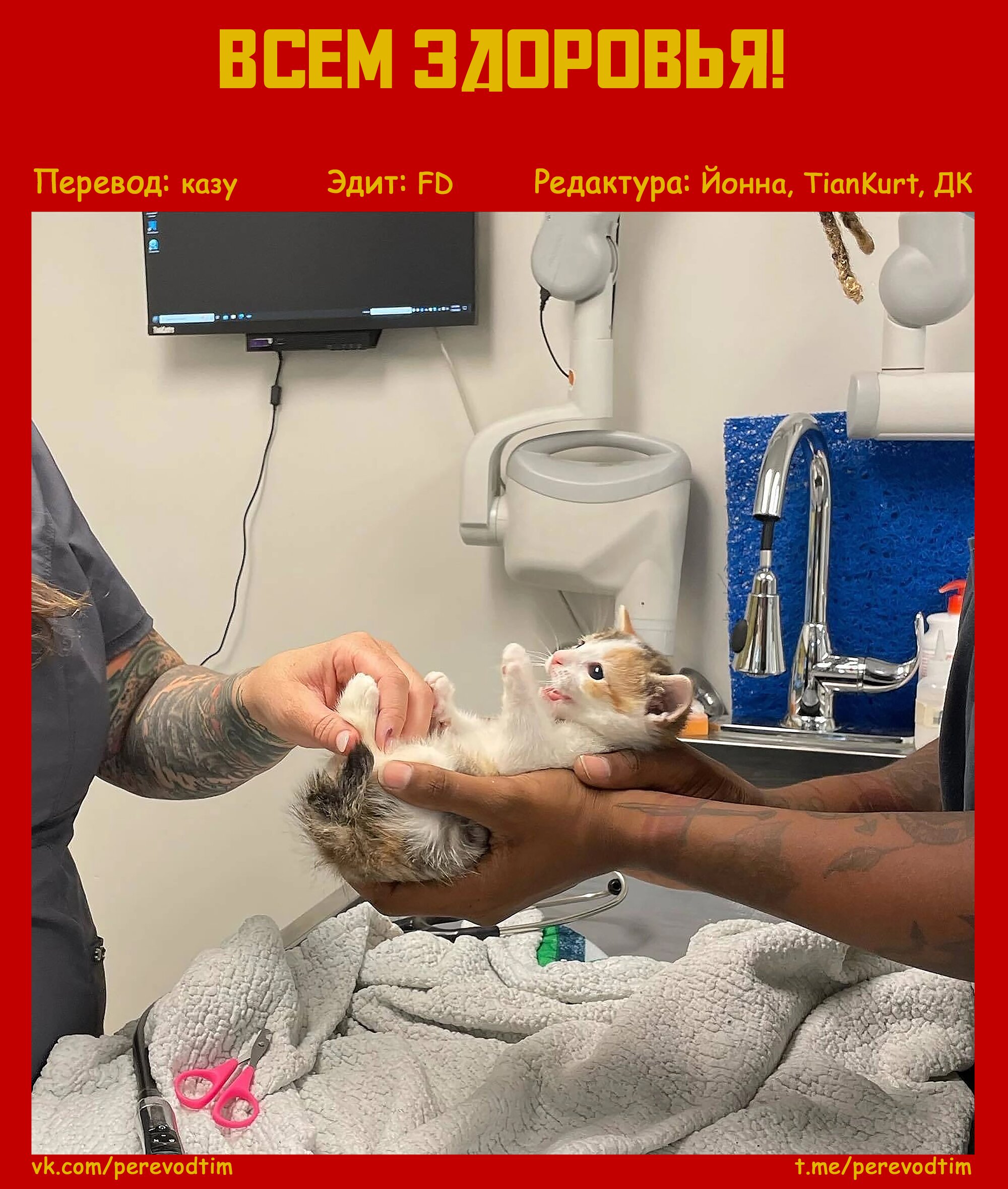 Манга Величайший из Бродячих псов. Шутка. - Глава 26 Страница 9