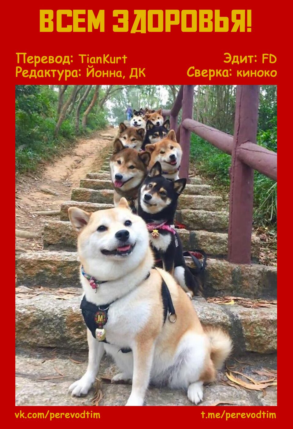 Манга Величайший из Бродячих псов. Шутка. - Глава 23 Страница 11