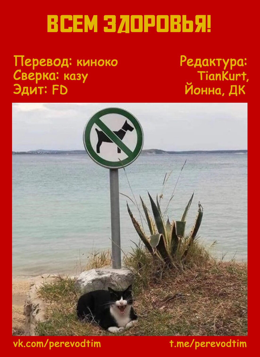 Манга Величайший из Бродячих псов. Шутка. - Глава 22 Страница 12