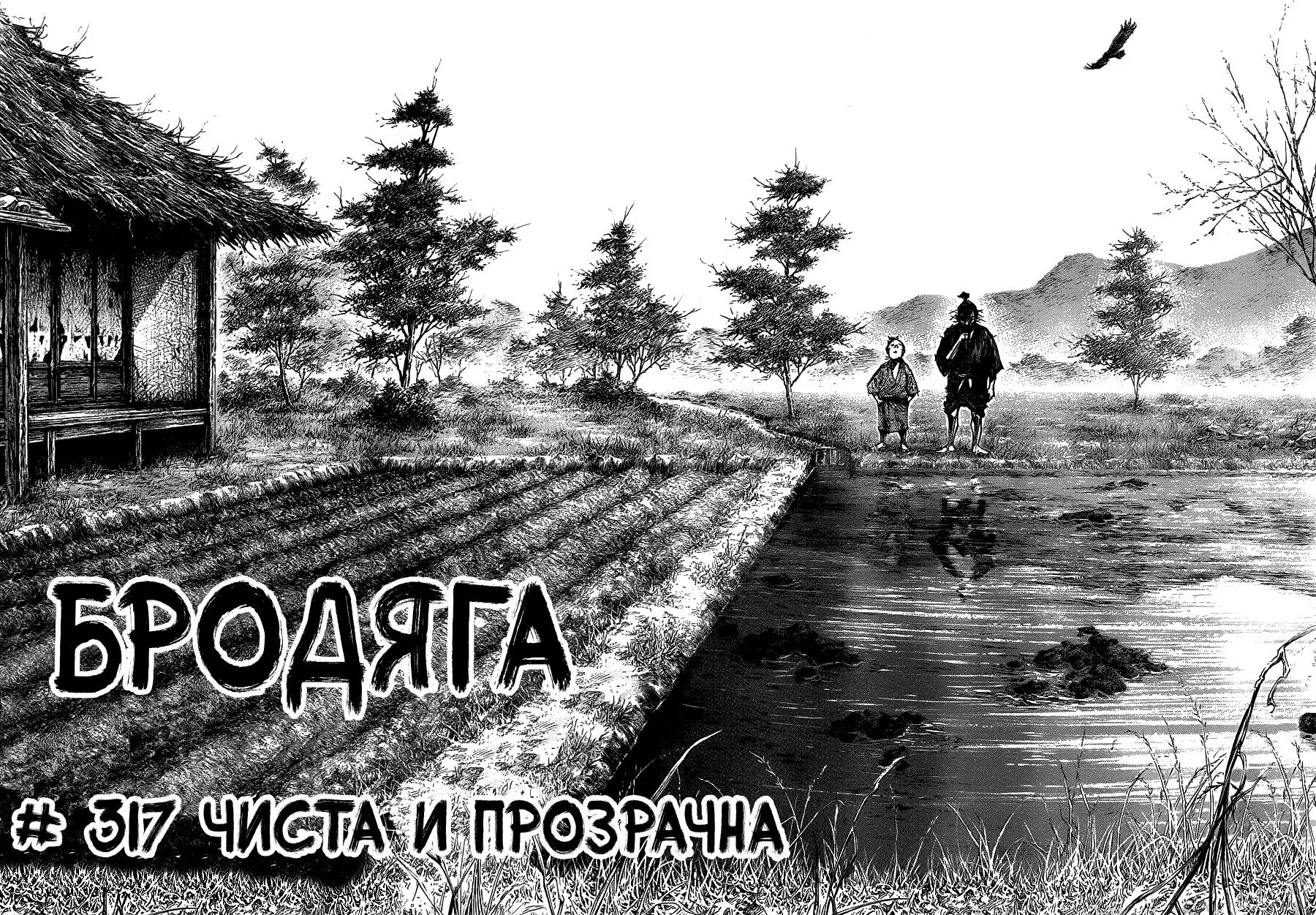 Манга Бродяга - Глава 317 Страница 2