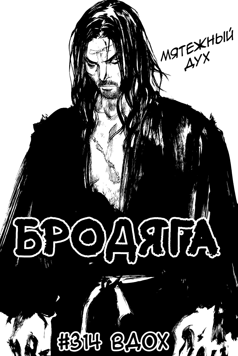 Манга Бродяга - Глава 314 Страница 1
