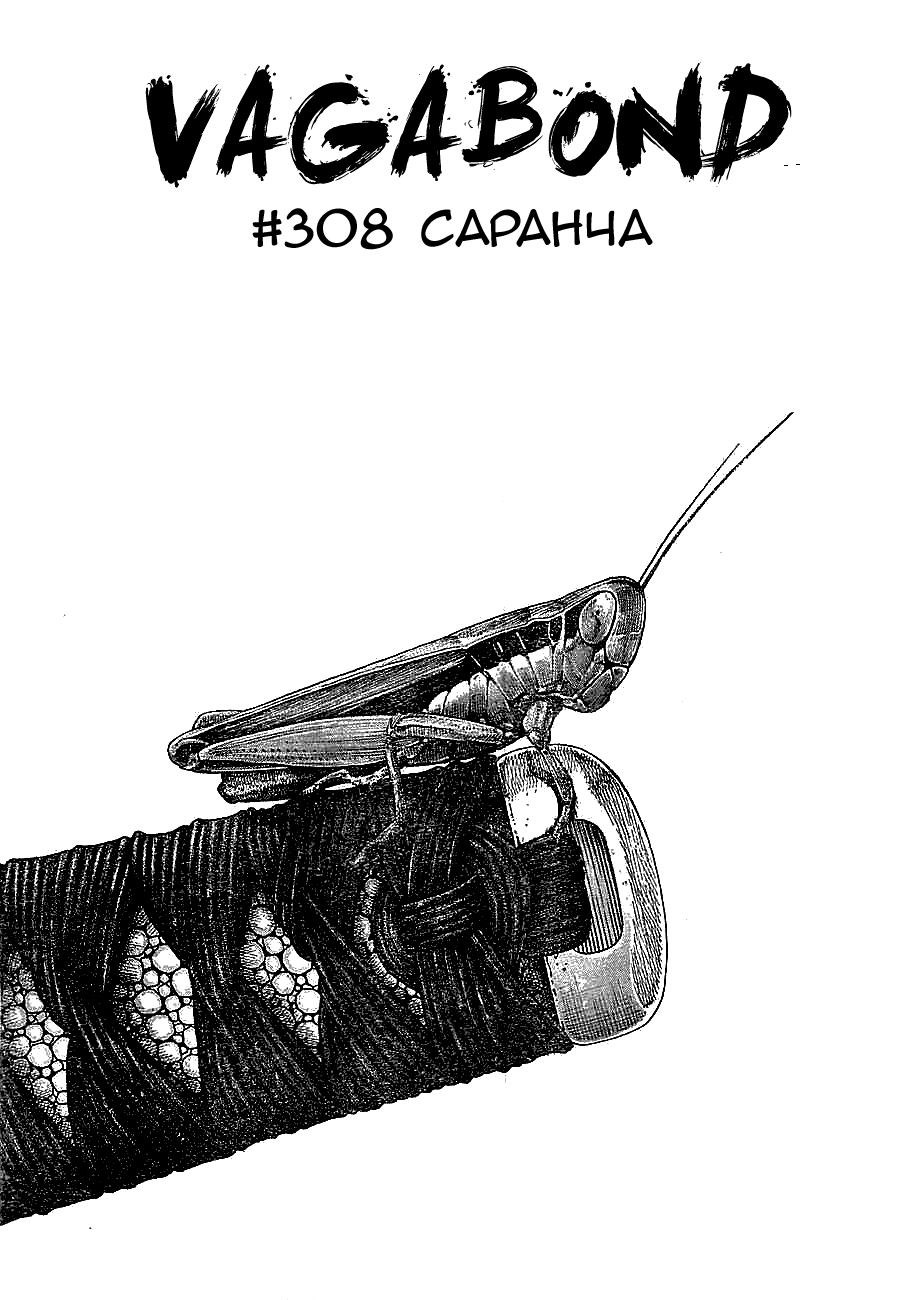 Манга Бродяга - Глава 308 Страница 1