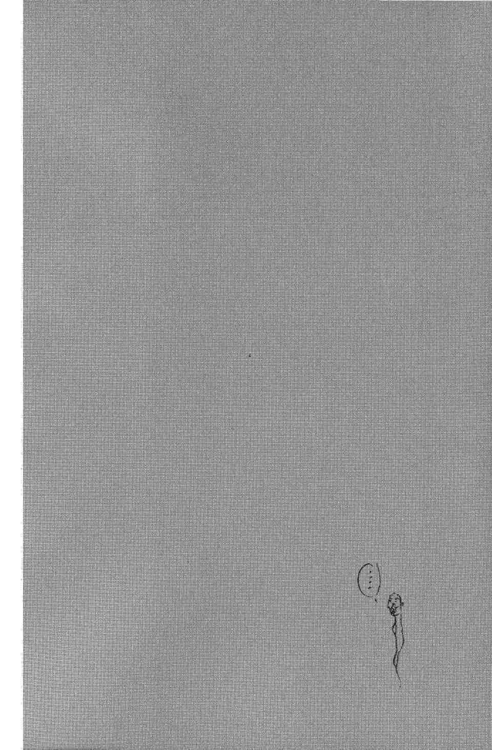 Манга Бродяга - Глава 276 Страница 18