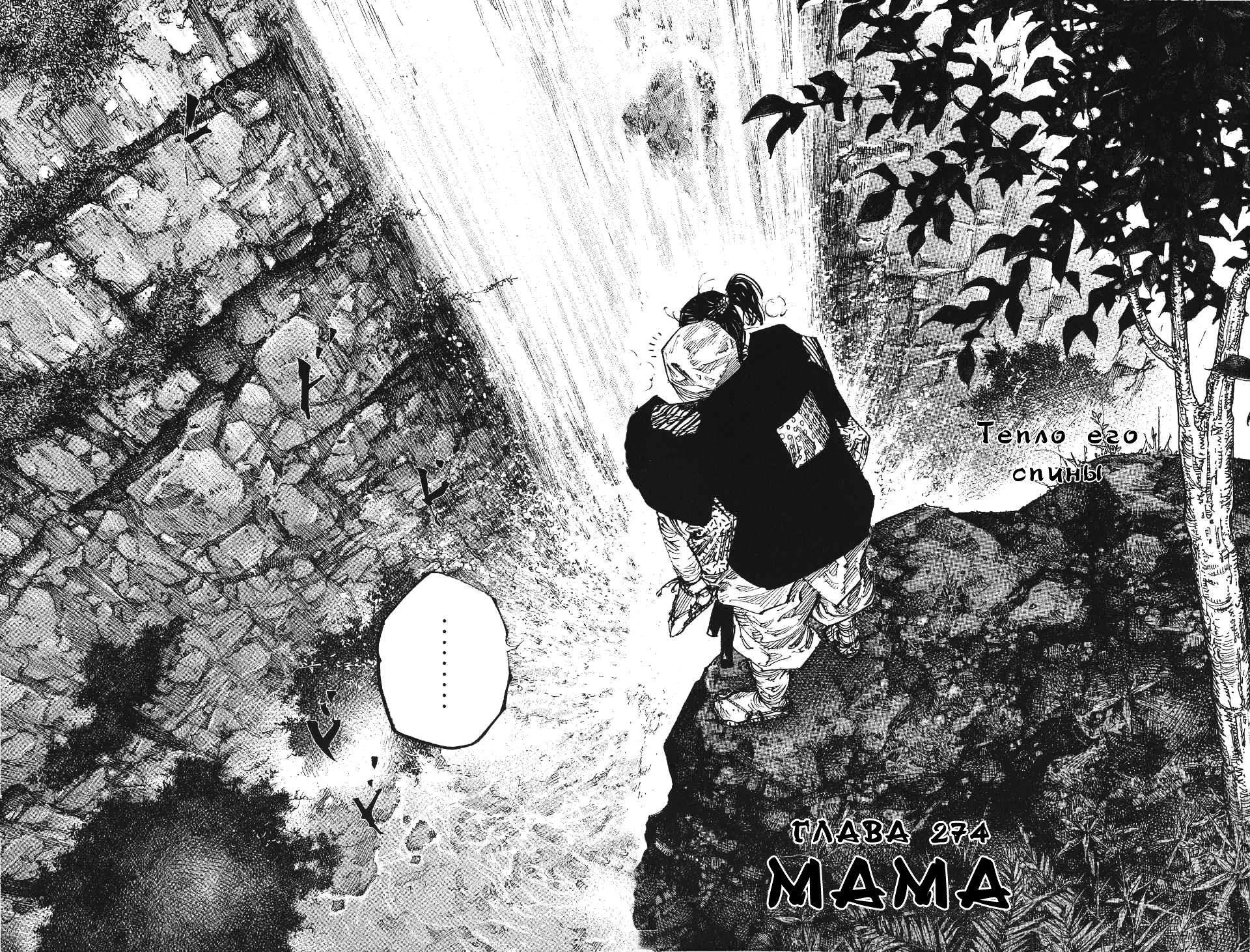 Манга Бродяга - Глава 274 Страница 2