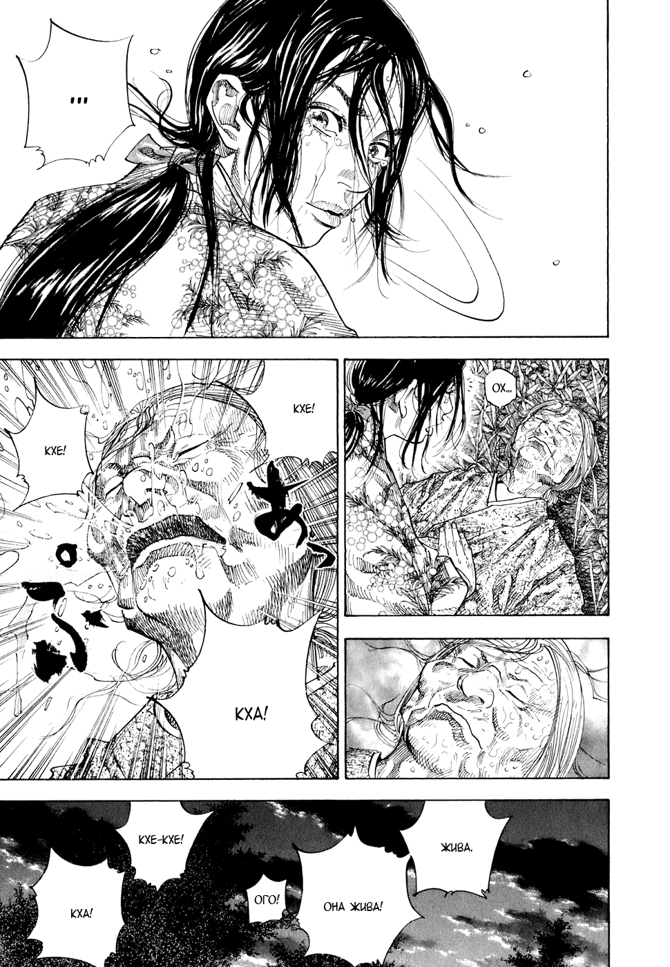 Манга Бродяга - Глава 113 Страница 15