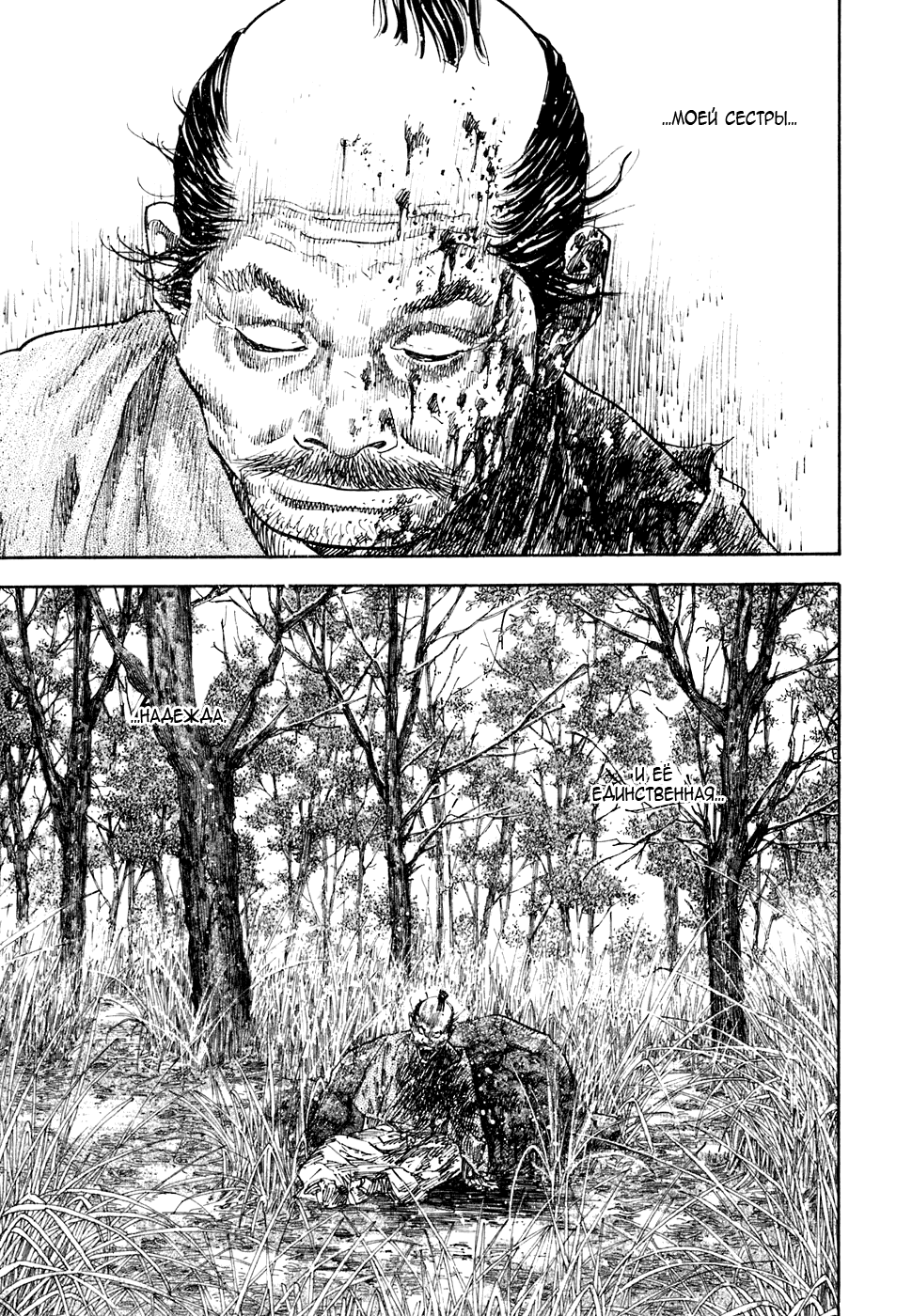 Манга Бродяга - Глава 110 Страница 16