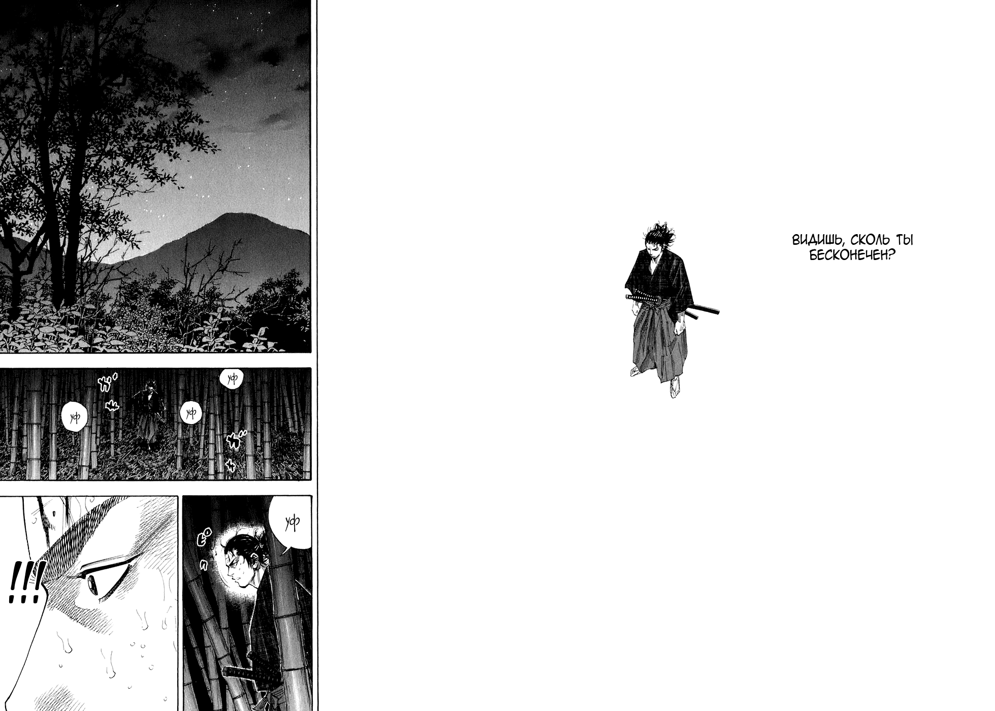 Манга Бродяга - Глава 102 Страница 15