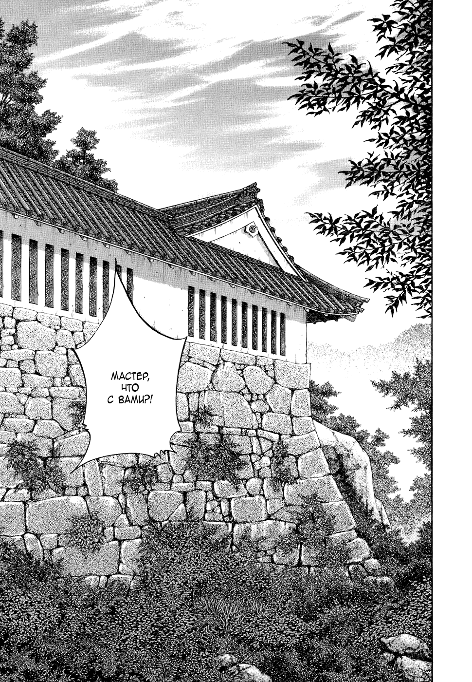 Манга Бродяга - Глава 85 Страница 11
