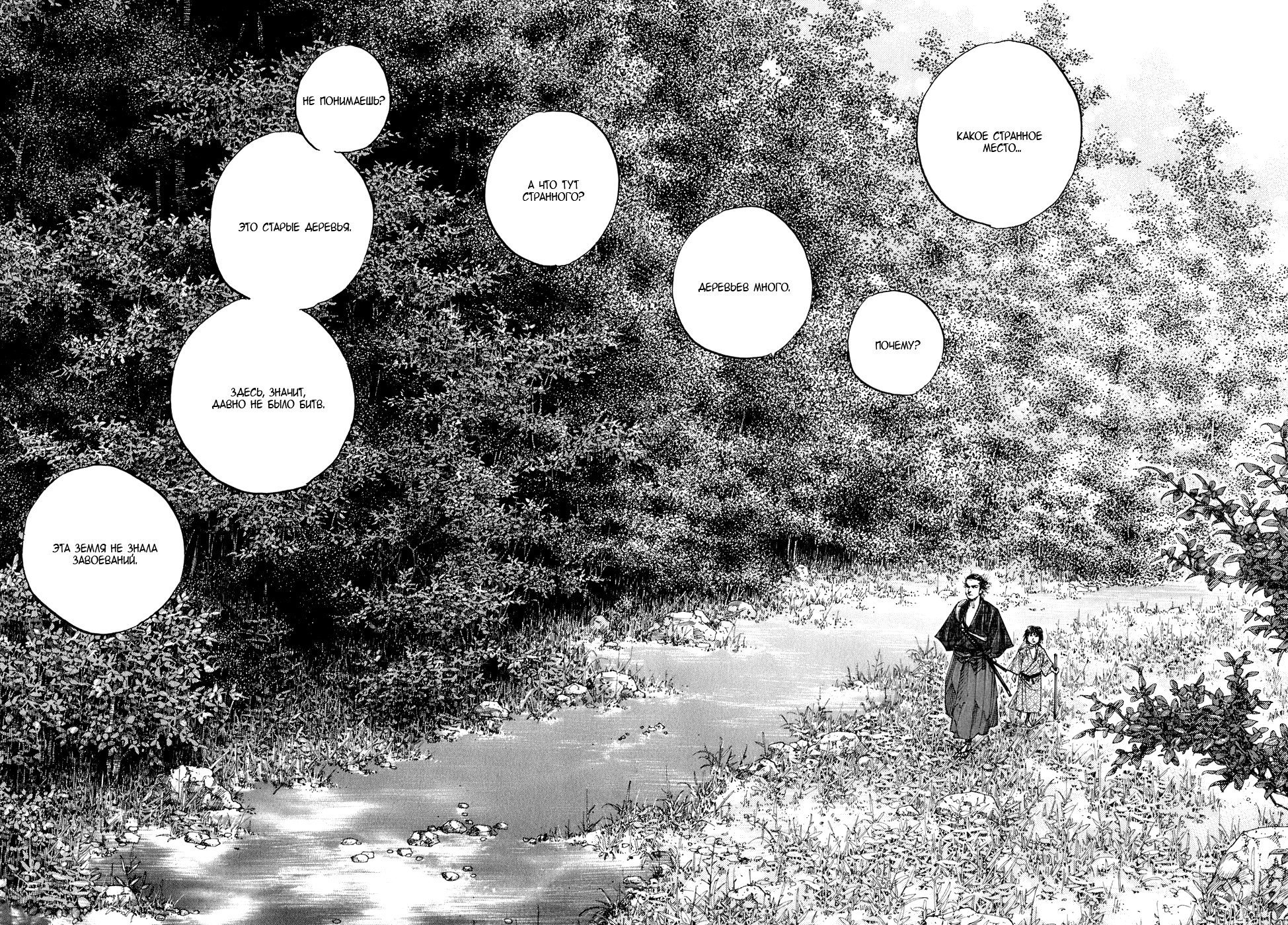 Манга Бродяга - Глава 80 Страница 5