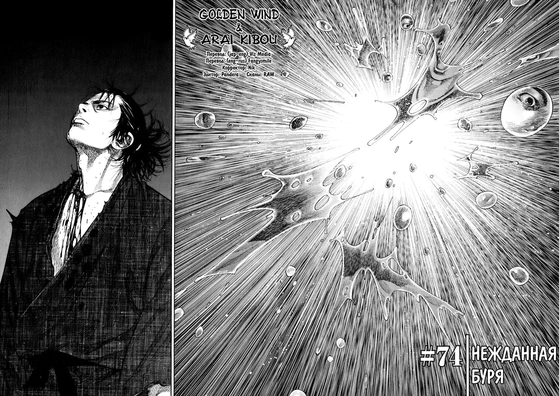 Манга Бродяга - Глава 74 Страница 2