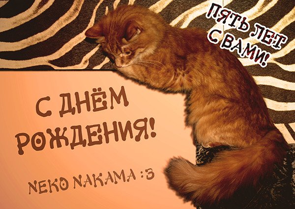 Манга Нейро Ногами - детектив из Ада - Глава 69 Страница 1