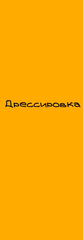 Манга Хори-сан и Миямура-кун - Глава 168 Страница 8