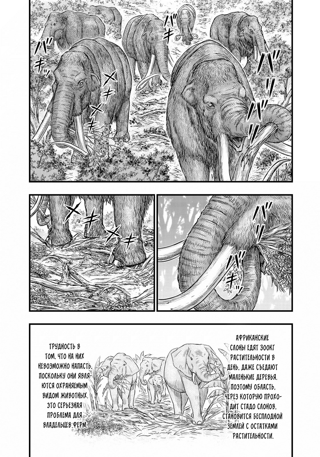 Манга Бытие Тайги - Глава 40 Страница 13