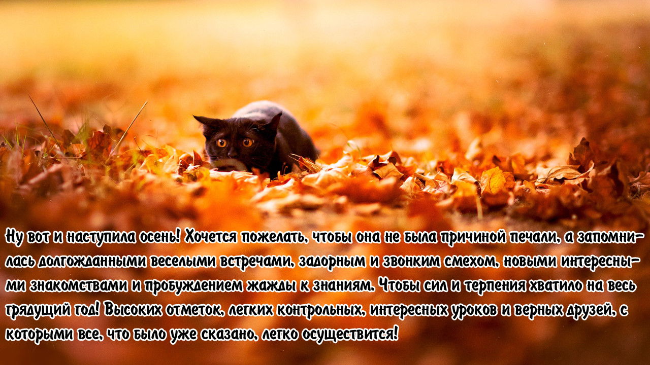 Манга Признания - Глава 40 Страница 9