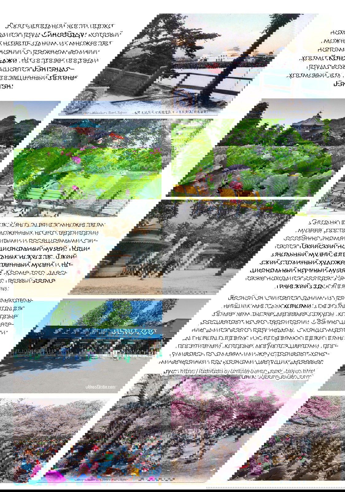 Манга Дождь из слёз и серенада - Глава 9 Страница 30