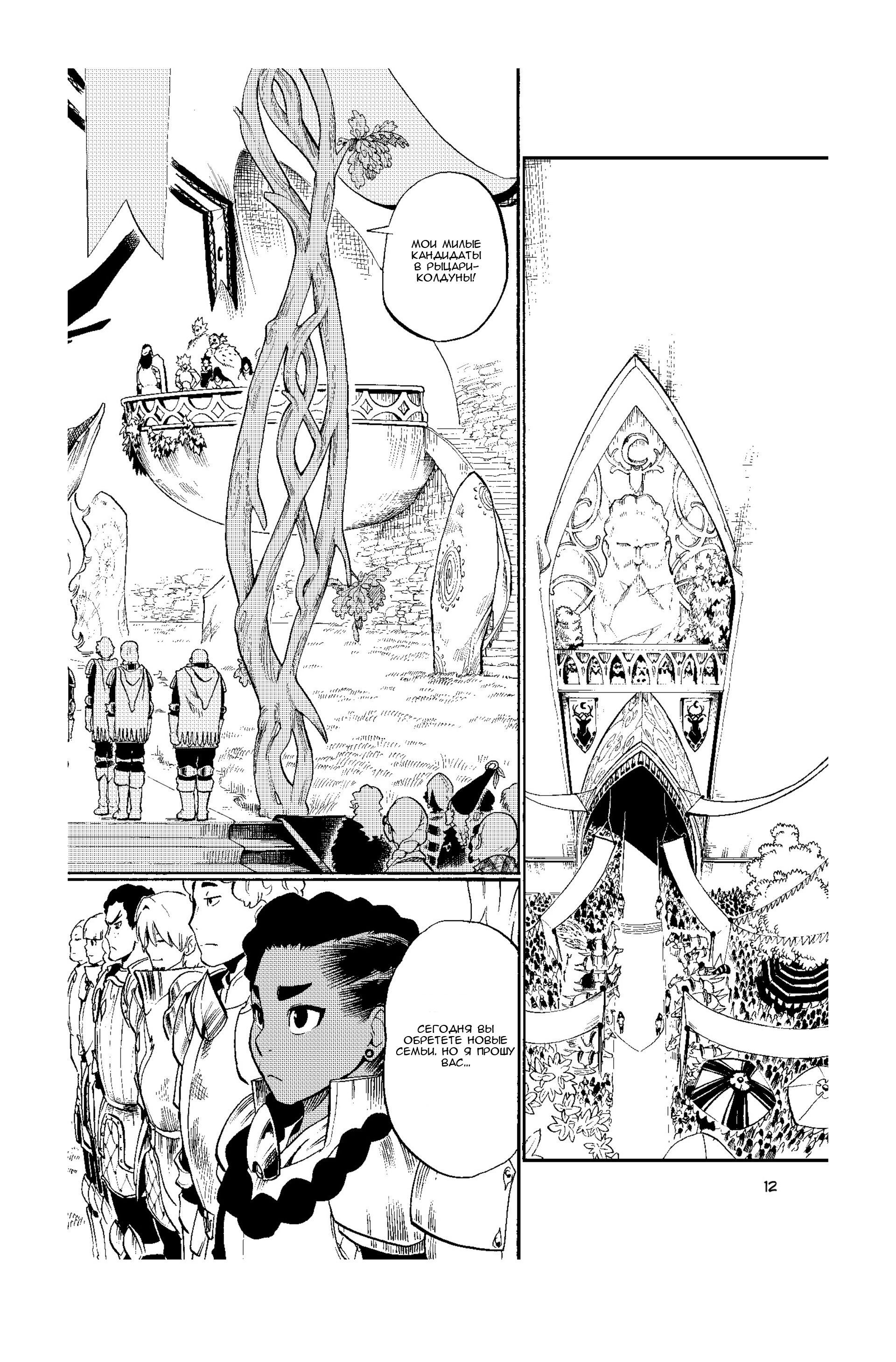 Манга Радиант - Глава 53 Страница 12