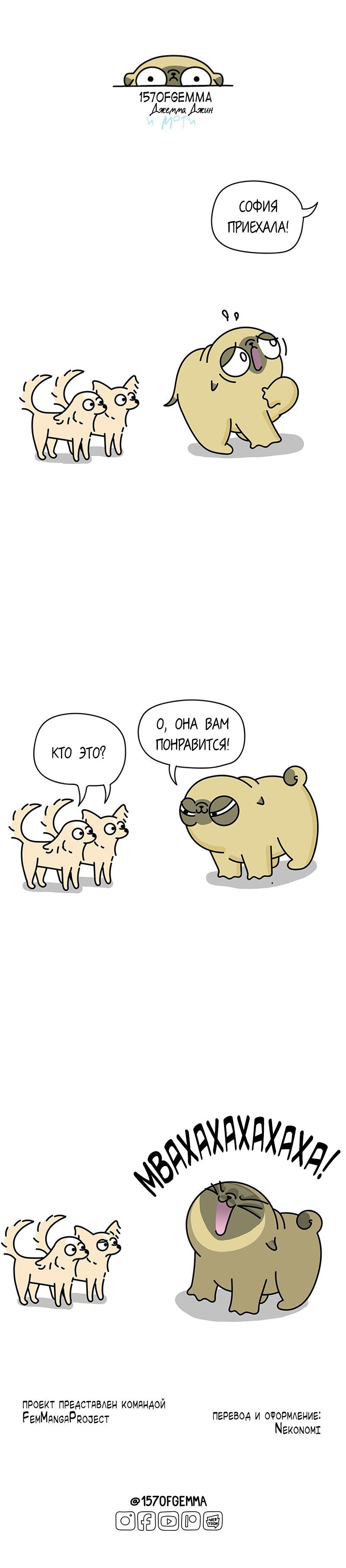 Манга Моти — мопс - Глава 46 Страница 1