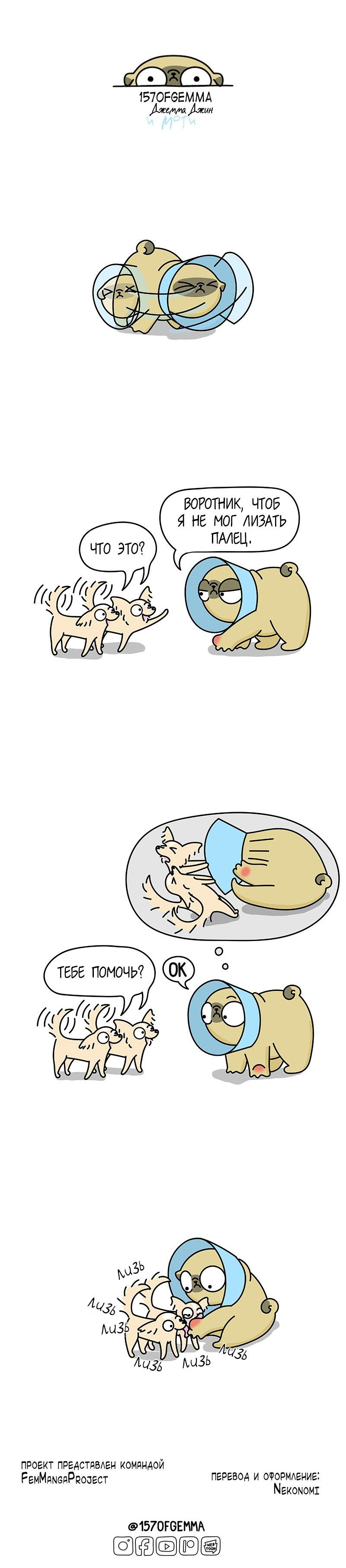 Манга Моти — мопс - Глава 45 Страница 4