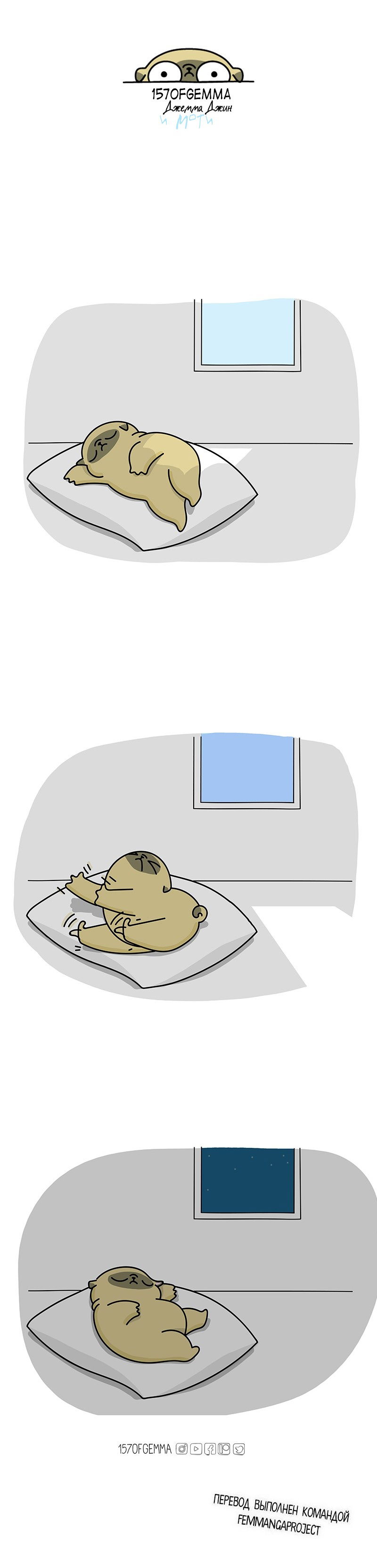 Манга Моти — мопс - Глава 38 Страница 3