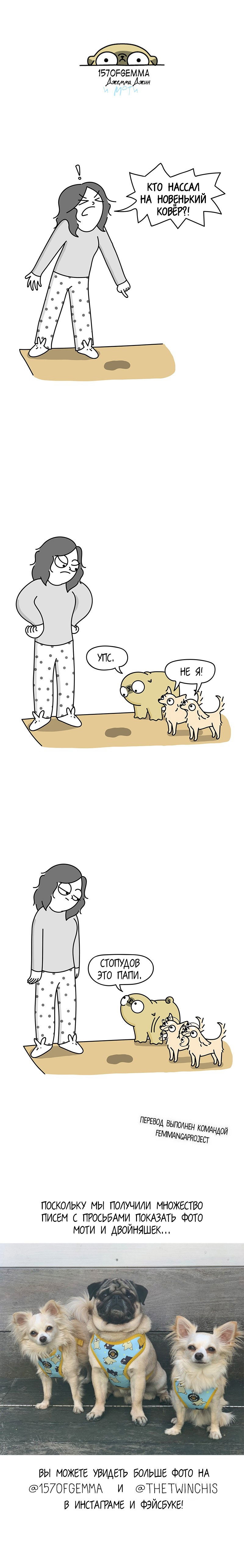 Манга Моти — мопс - Глава 37 Страница 5