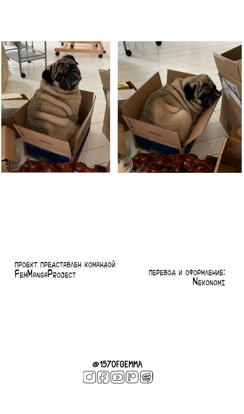 Манга Моти — мопс - Глава 52 Страница 3