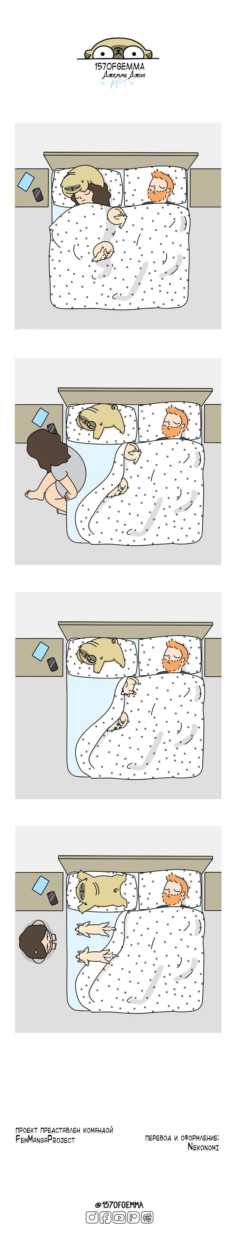 Манга Моти — мопс - Глава 54 Страница 3