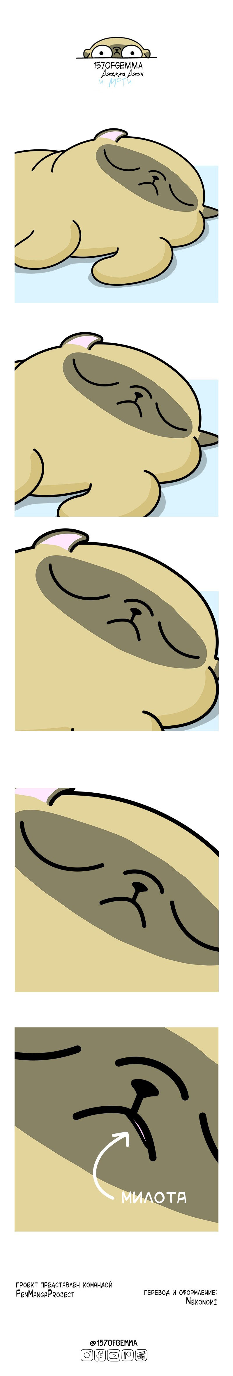 Манга Моти — мопс - Глава 64 Страница 2