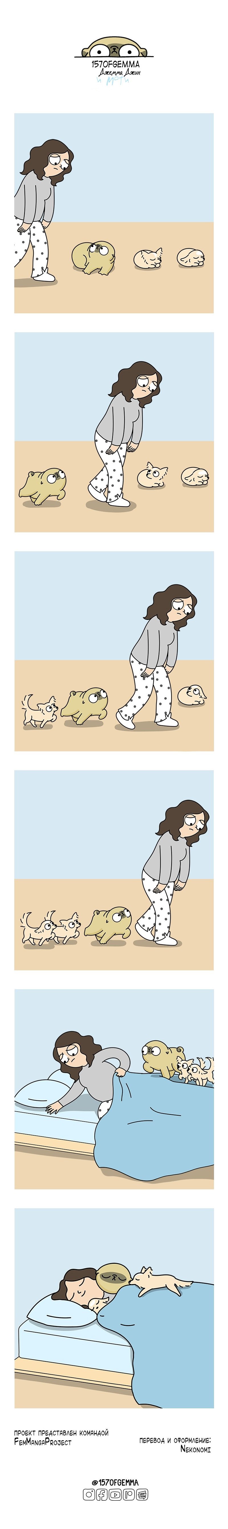 Манга Моти — мопс - Глава 65 Страница 2