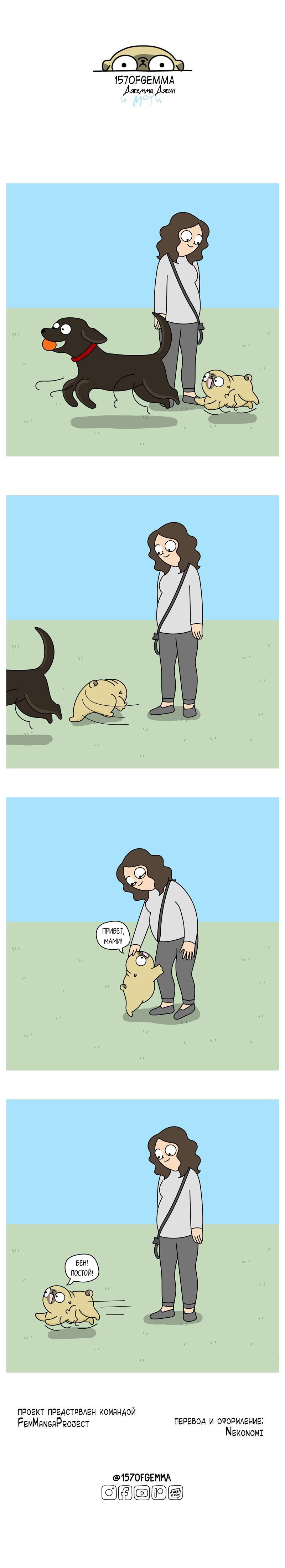 Манга Моти — мопс - Глава 65 Страница 3