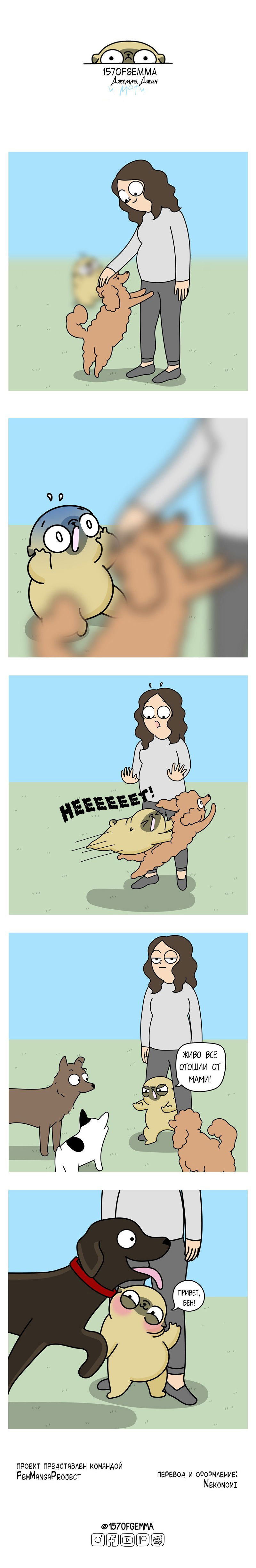 Манга Моти — мопс - Глава 66 Страница 5