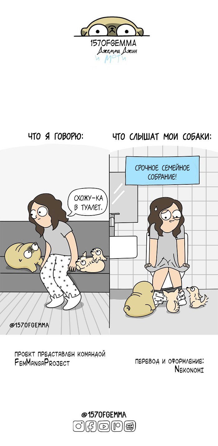 Манга Моти — мопс - Глава 68 Страница 5