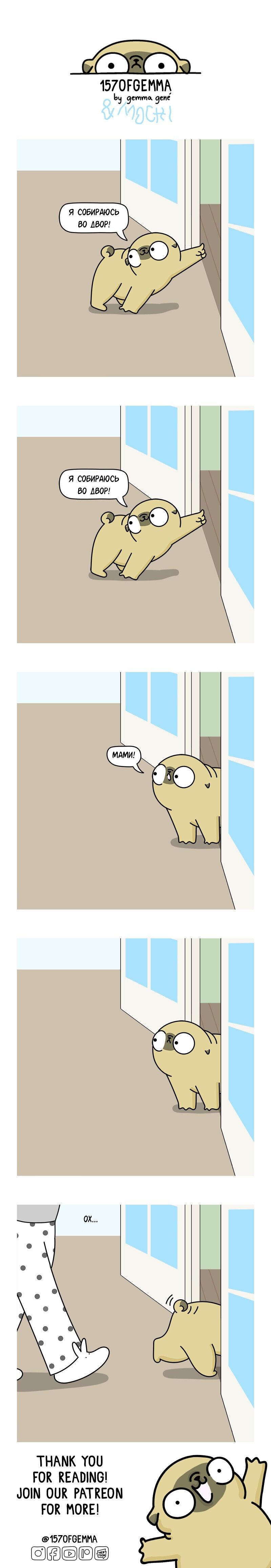 Манга Моти — мопс - Глава 344 Страница 1