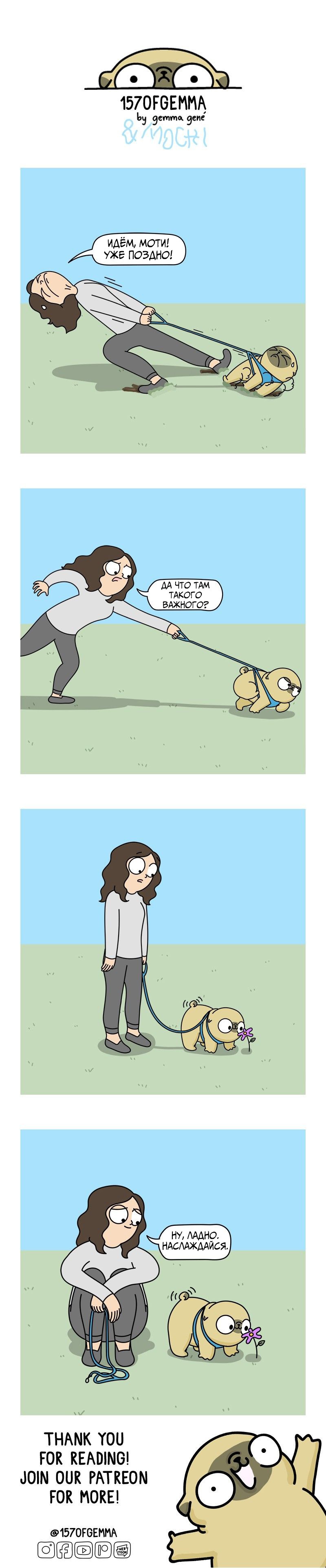 Манга Моти — мопс - Глава 348 Страница 1