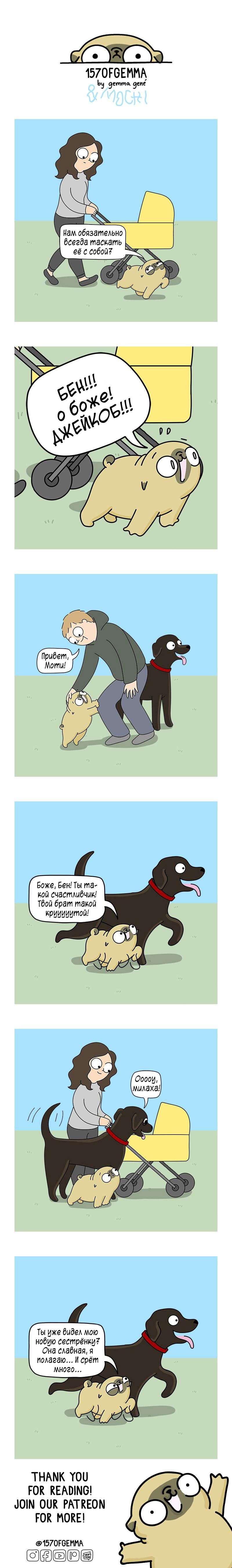 Манга Моти — мопс - Глава 357 Страница 1