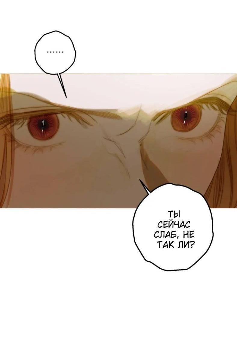 Манга Бледный конь - Глава 244 Страница 24